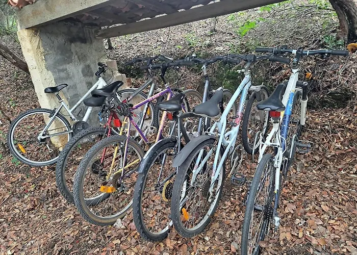 K Presqu Ile De Giens הייר